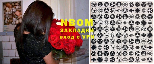 гидра Вяземский