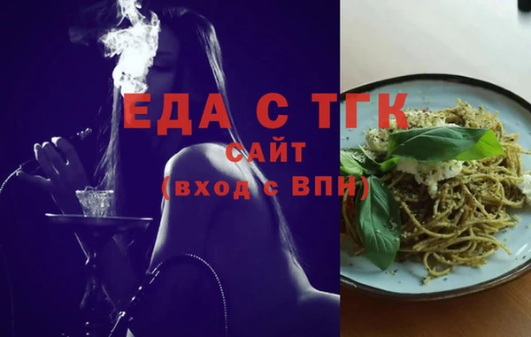 шишки Горняк