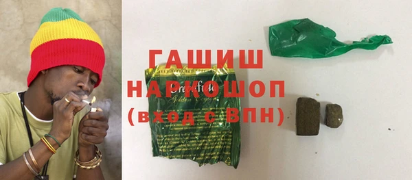 гидра Вяземский