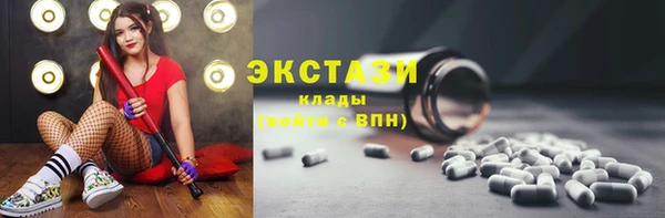 гидра Вяземский