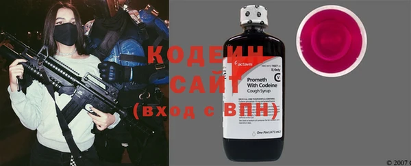 гидра Вяземский