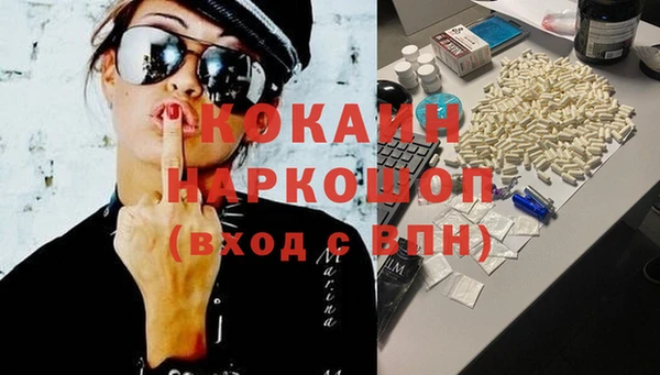 гидра Вяземский