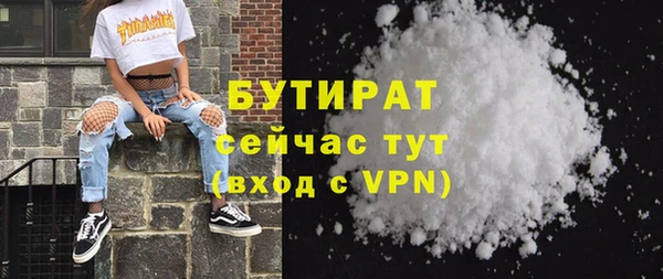 шишки Горняк