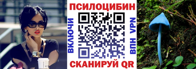 Купить  Сим  Псилоцибиновые грибы мицелий 